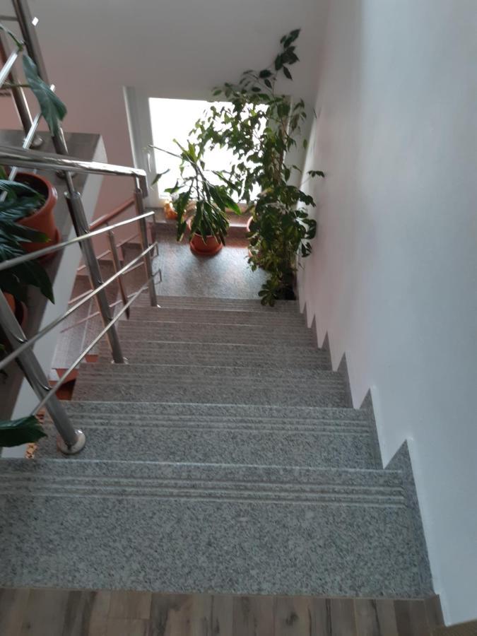 Vila Georgeta Zarnesti Exterior photo