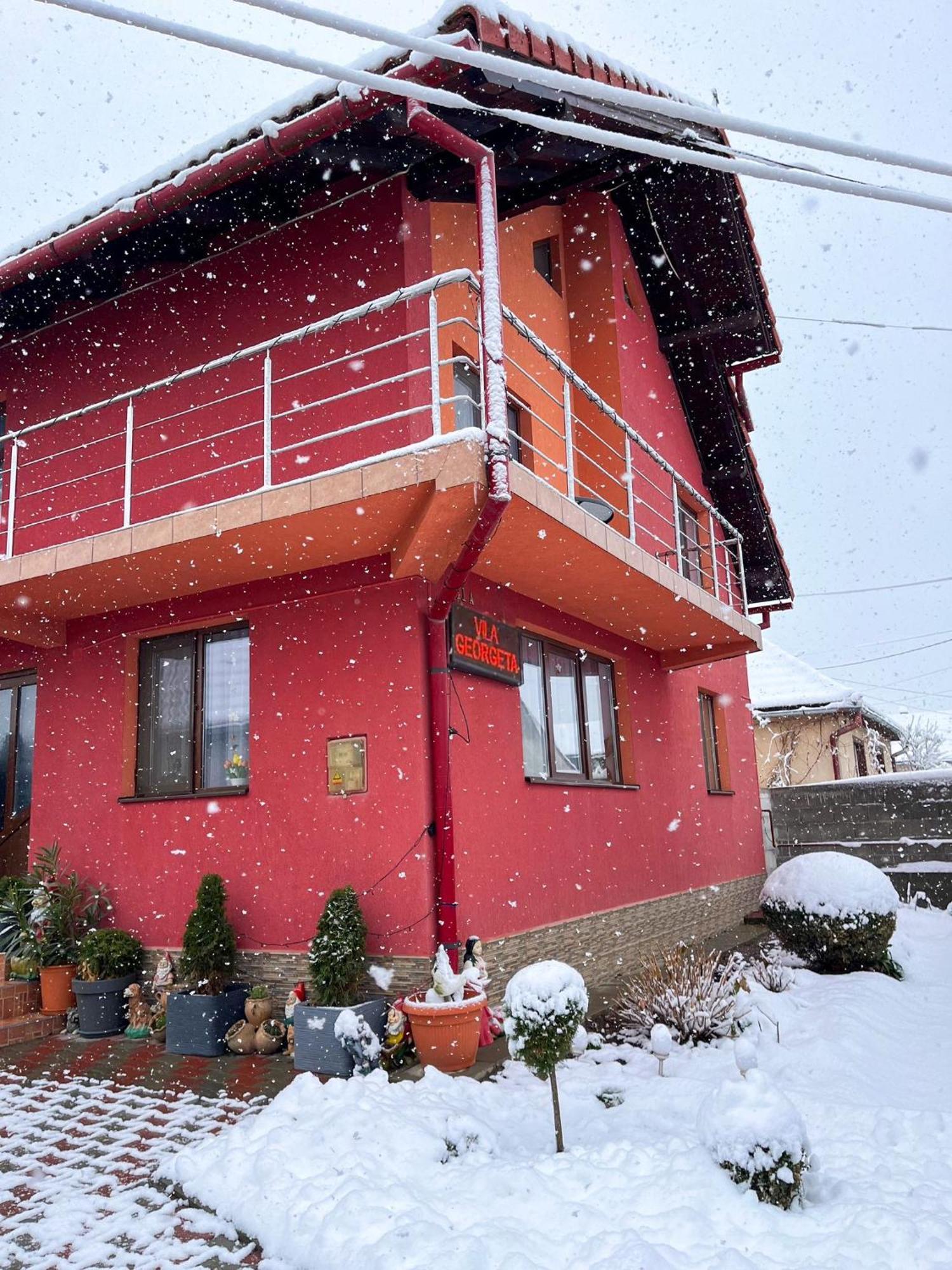 Vila Georgeta Zarnesti Exterior photo